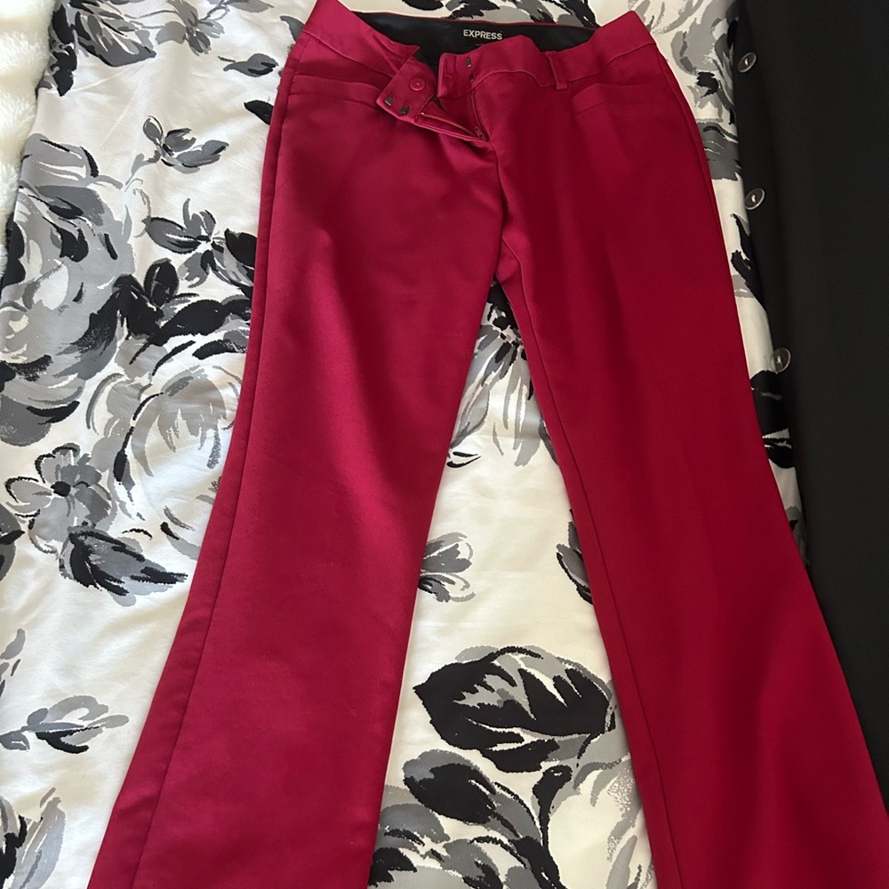Express columnist dress pants